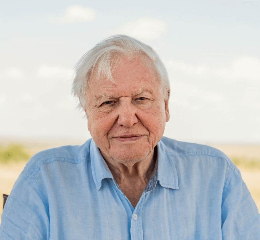 David Attenborough